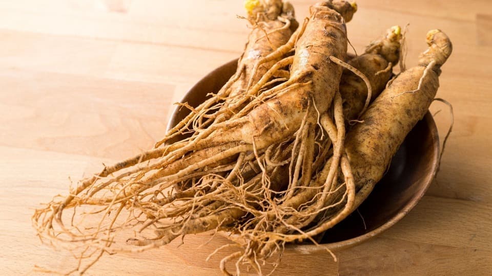 Panax Ginseng Extrakt